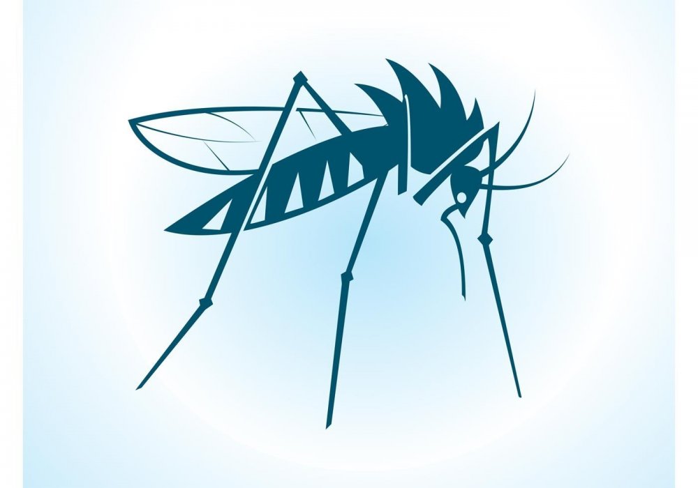 Стилизованный комар