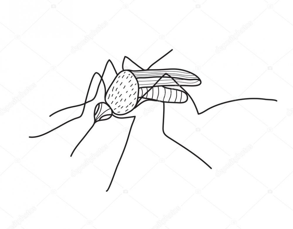 Схематичное изображение комара
