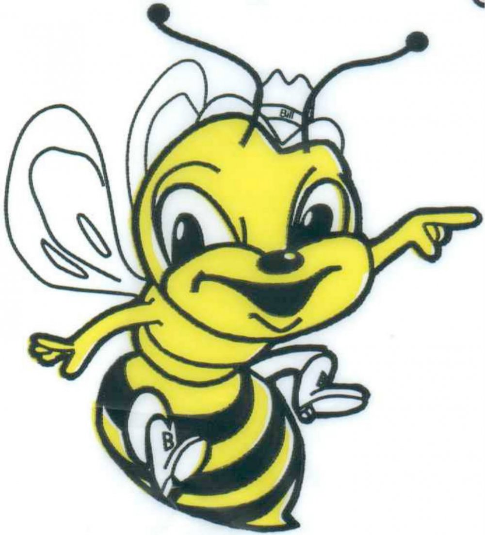 Пчелка на прозрачном фоне