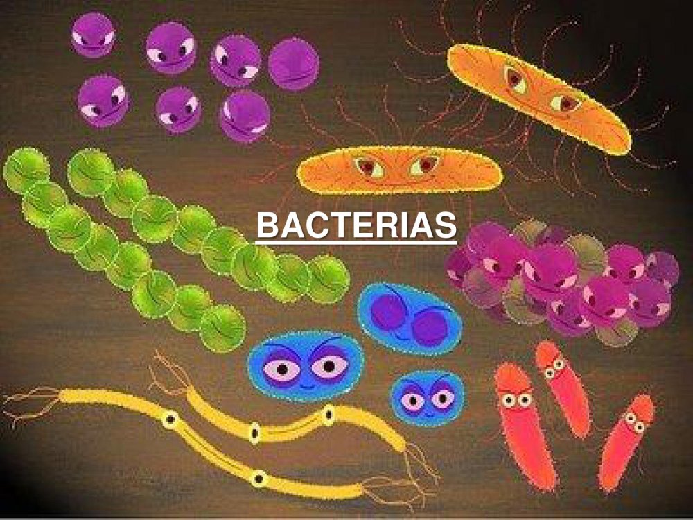 Генная инженерия бактерий