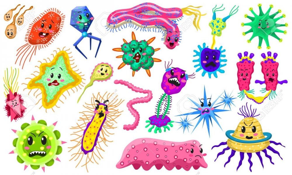 Рисунки вирусов и бактерий
