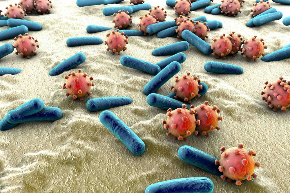 Вирусы и бактерии коллаж