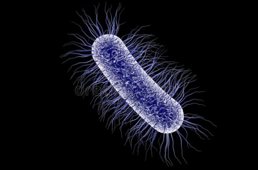 Текстура бактерии