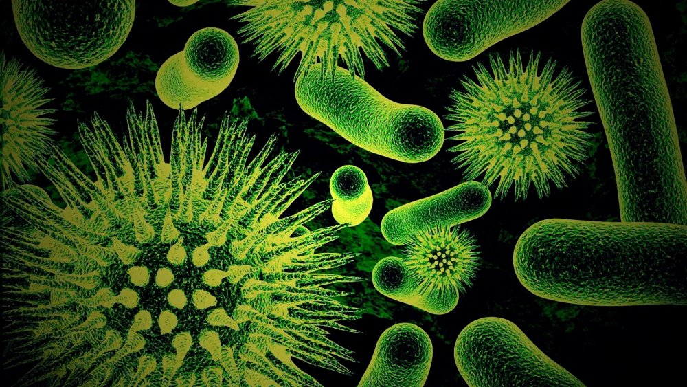Вирусы и микробы на белом фоне