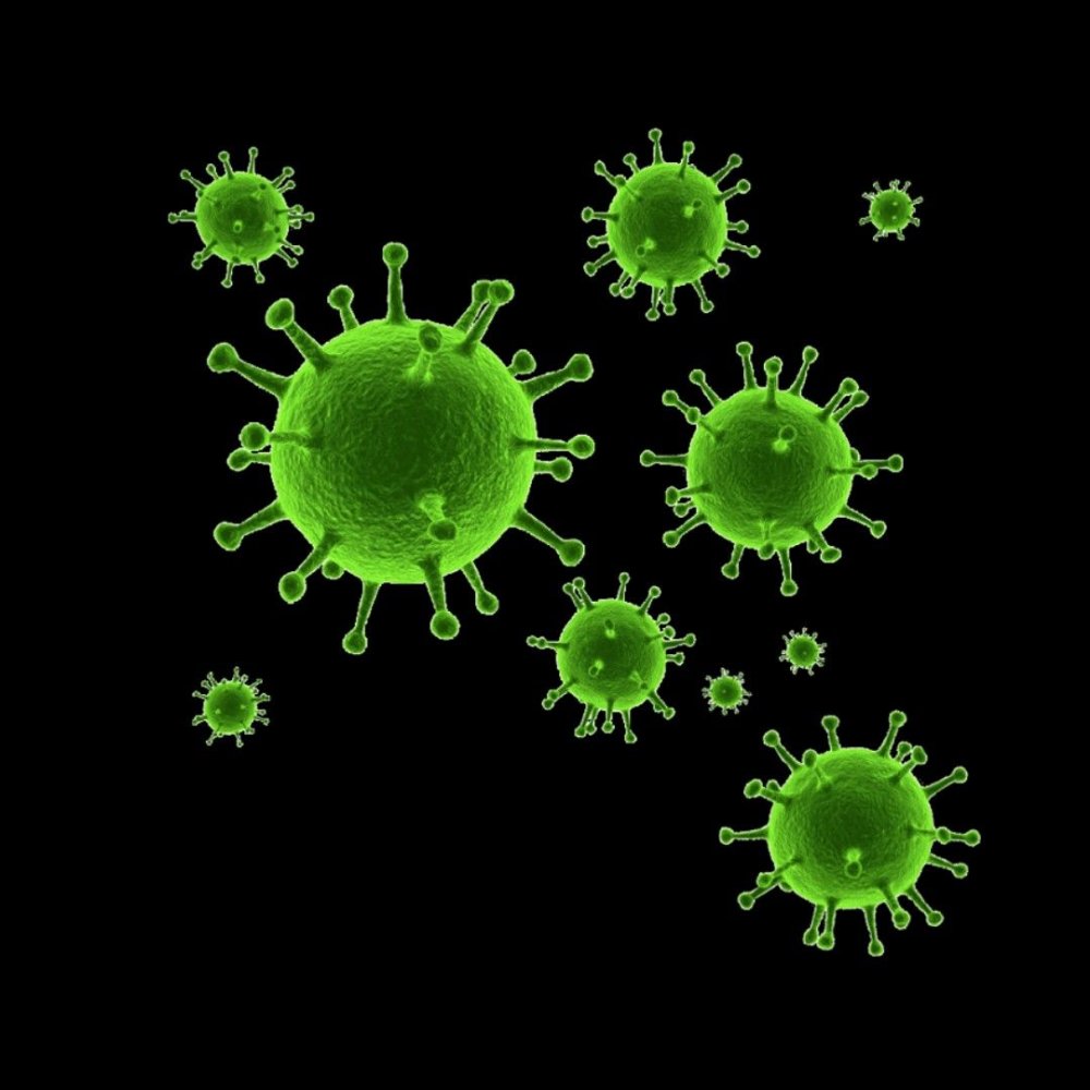Вирус коронавирус PNG