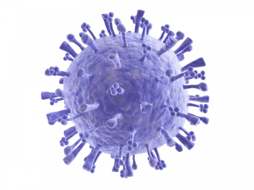 Клетка гриппа