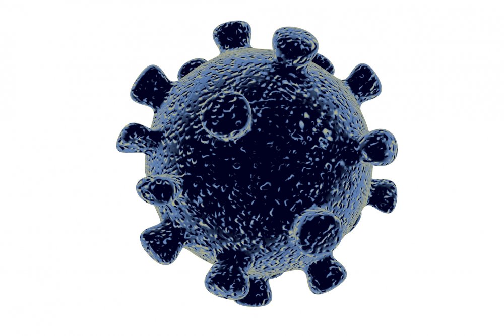 Модель вируса Covid-19
