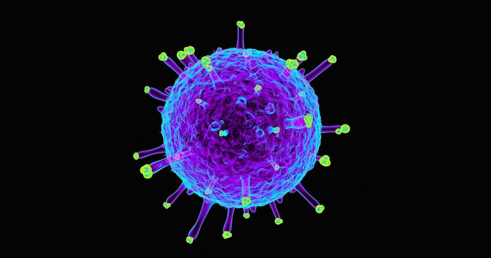 3d model coronavirus