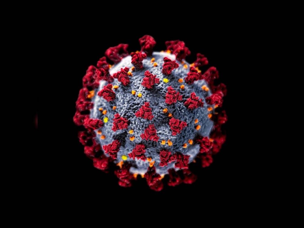 Вирус коронавирус 3д