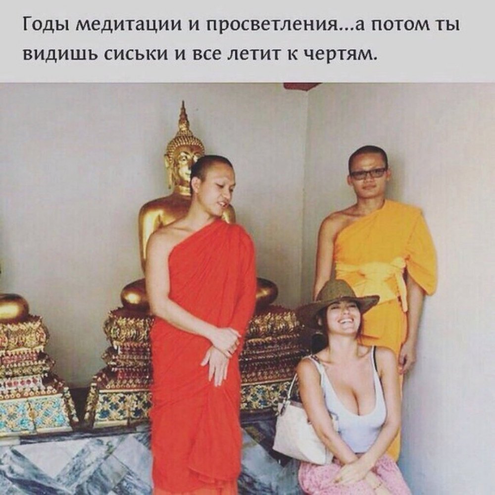 Просветление юмор