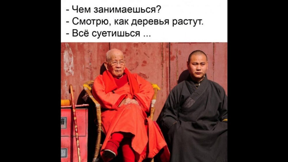 Цитаты дзен буддизма