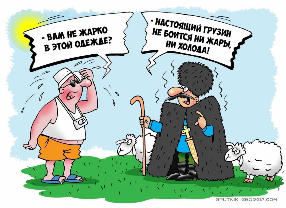 Грузин карикатура