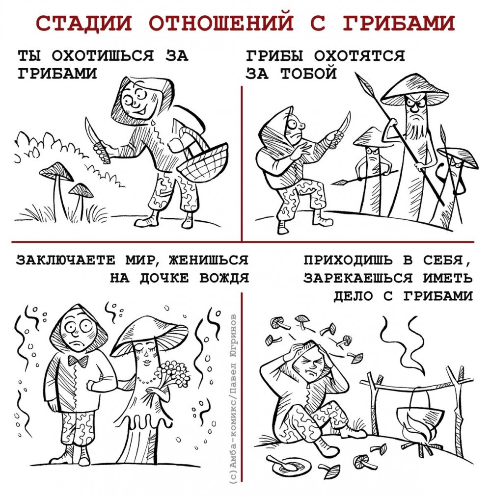 Мемы про русских попаданцев