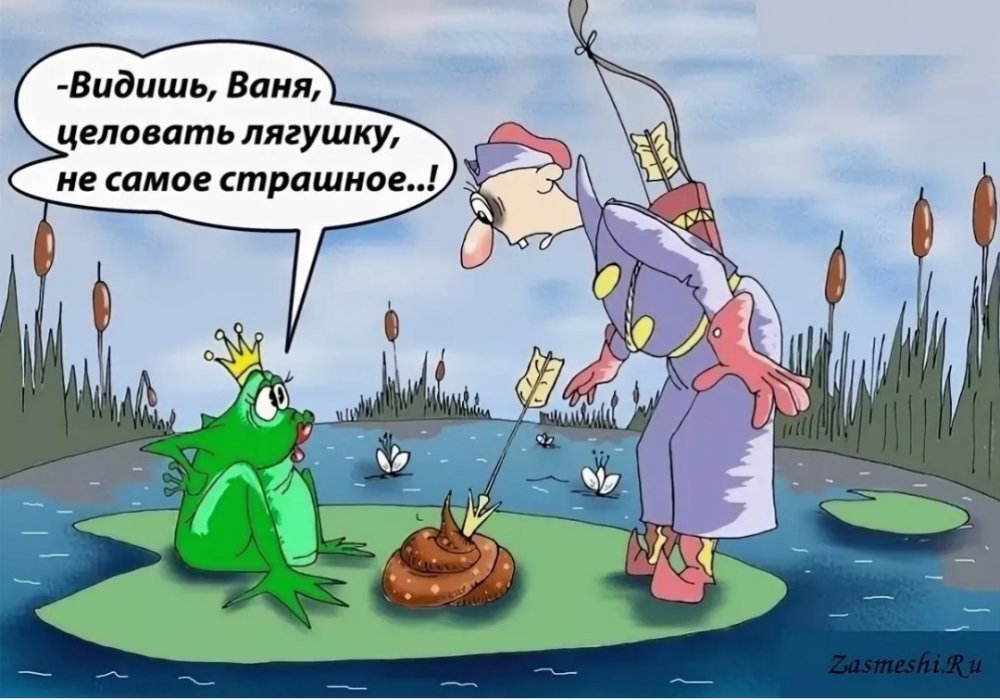 Царевна лягушка и Иван Царевич прикол