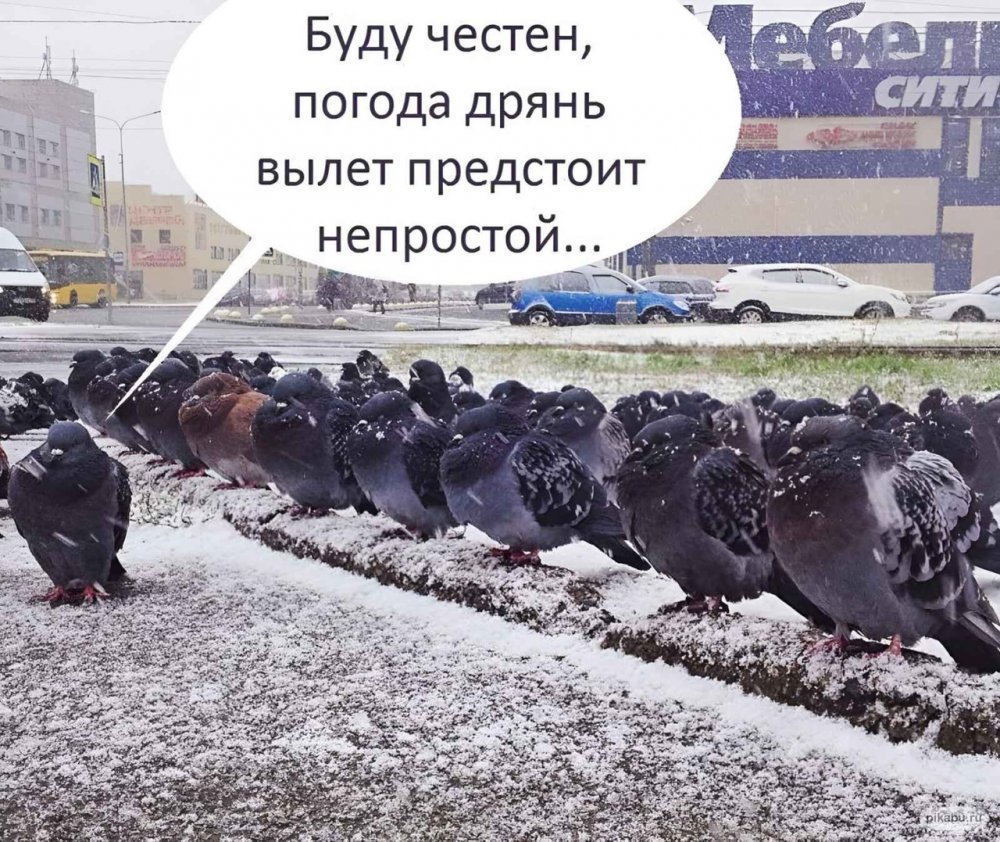 Приколы про погоду