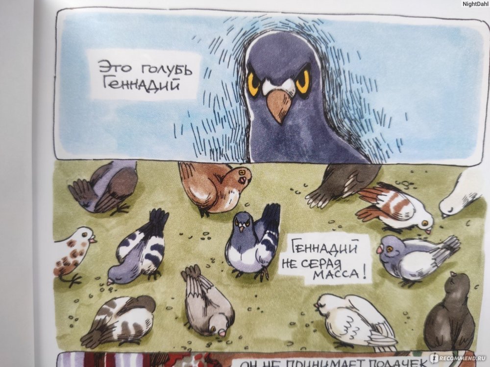 Смешные комиксы про птиц