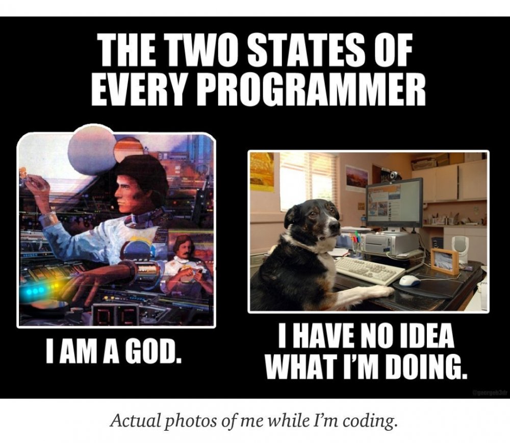 Мемы про программистов