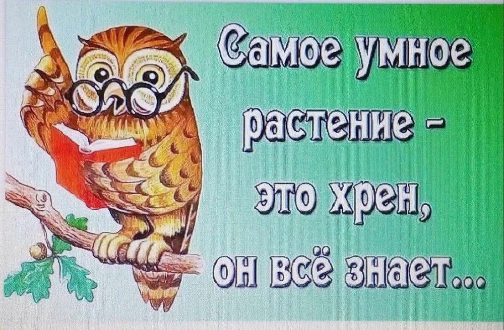 Шутки про деньги