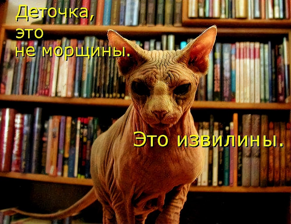 Приколы про книги