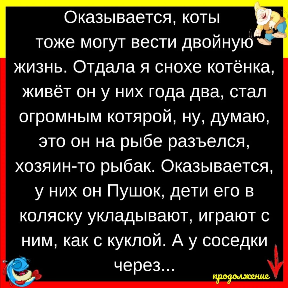 Сон креатив