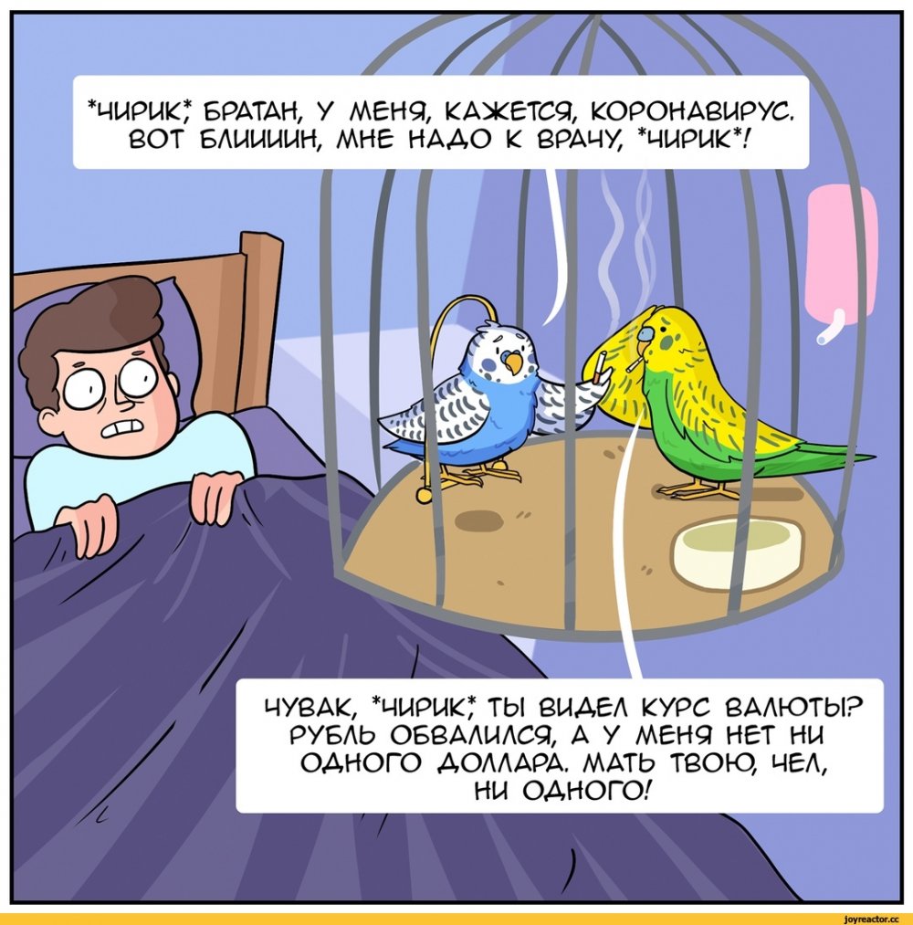 Комиксы про попугаев