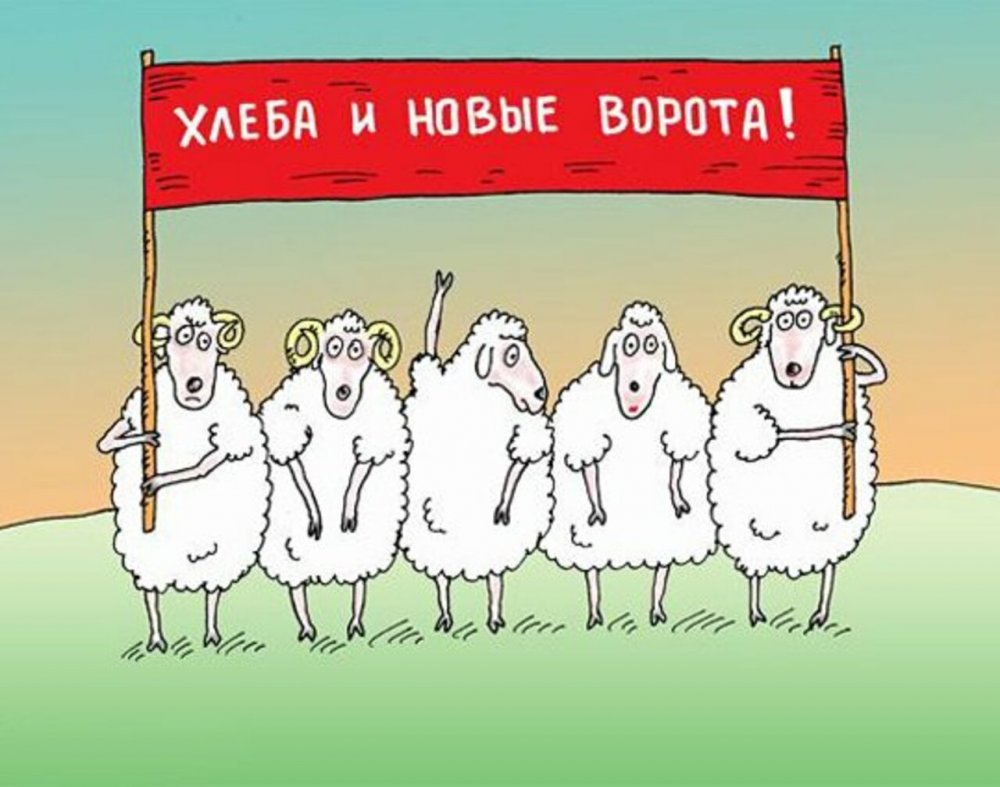 Надписи на УАЗИКАХ