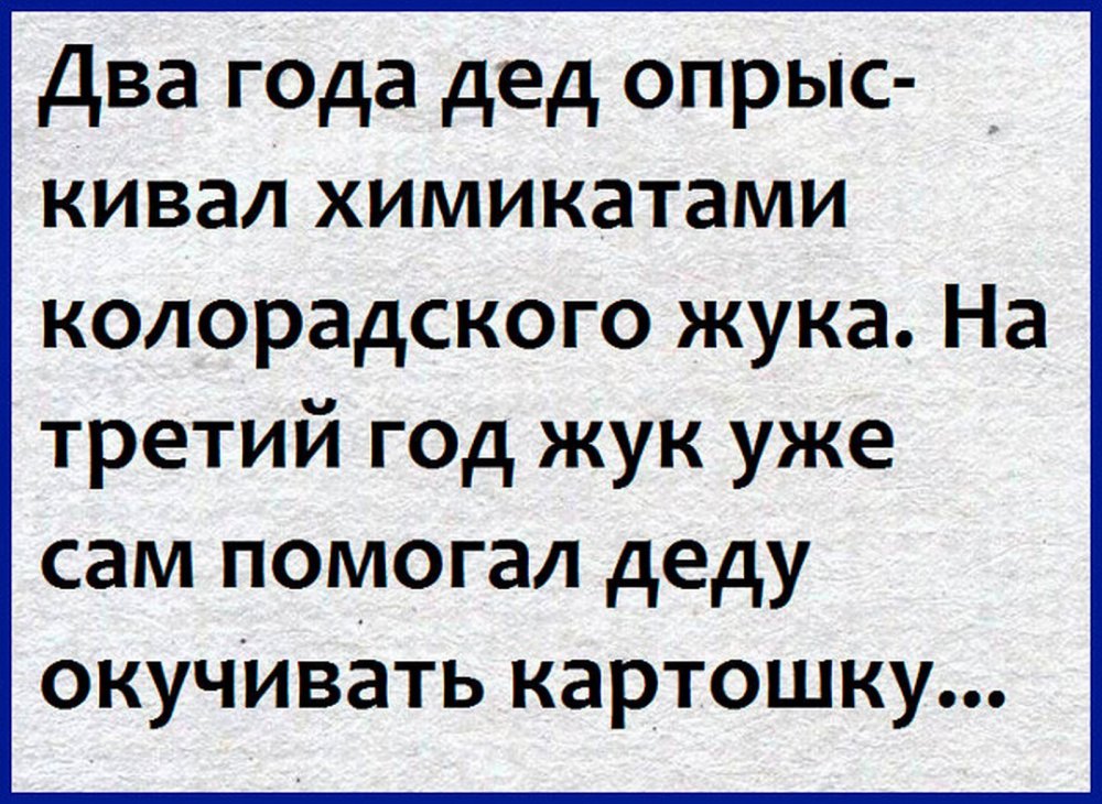 Анекдоты 18т короткие до слез. Смешные шутки. Анекдот. Анекдоты в картинках. Юмор приколы анекдоты.