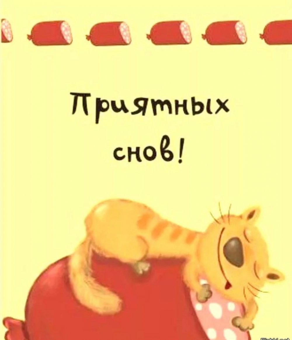 Смешные пожелания спокойной ночи