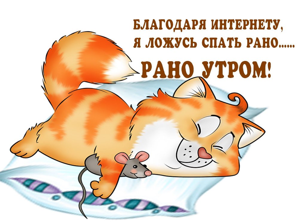 Цитаты про ночь смешные