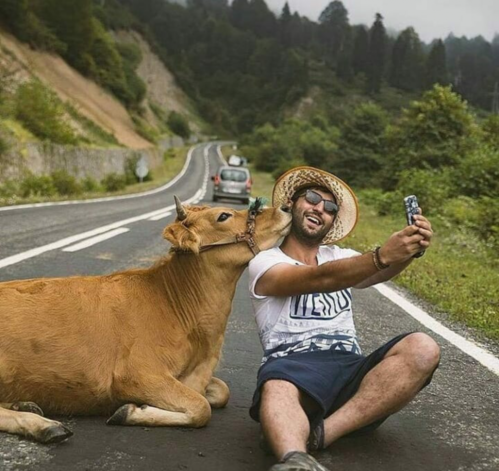 Смешные фотоподборки