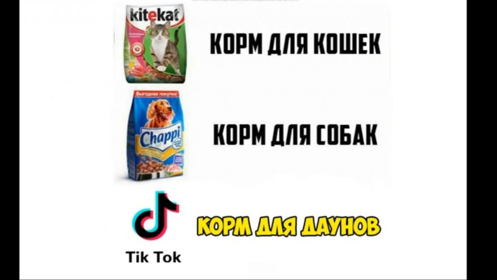 Лучшие приколы из тик тока