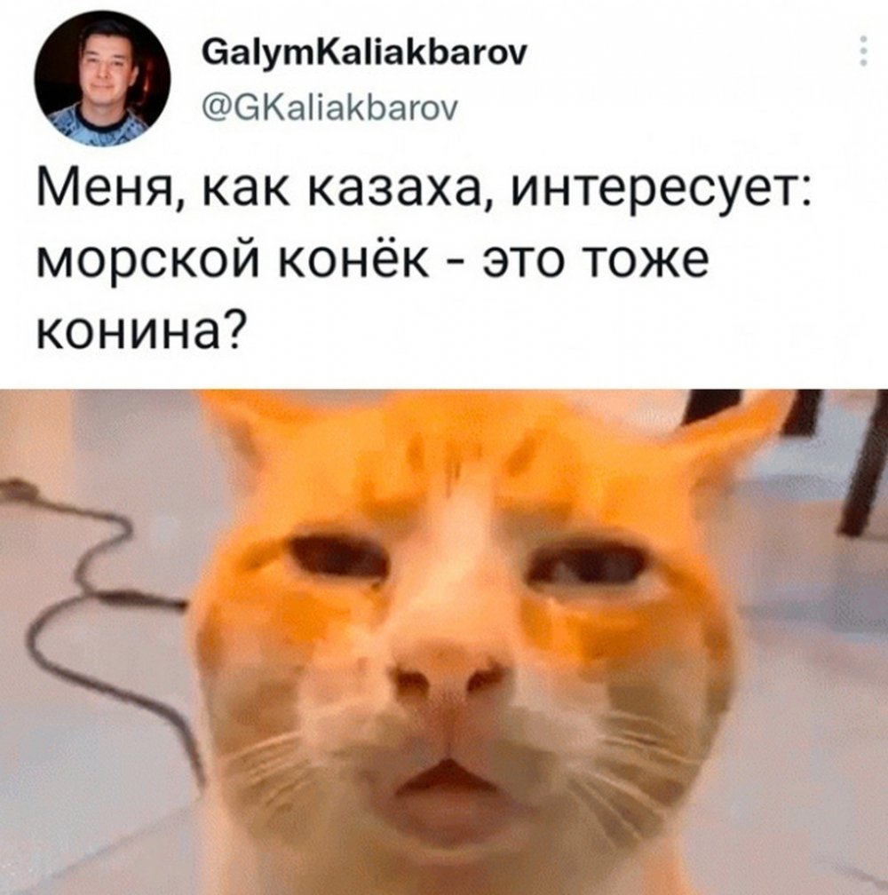 Мем про бывшего