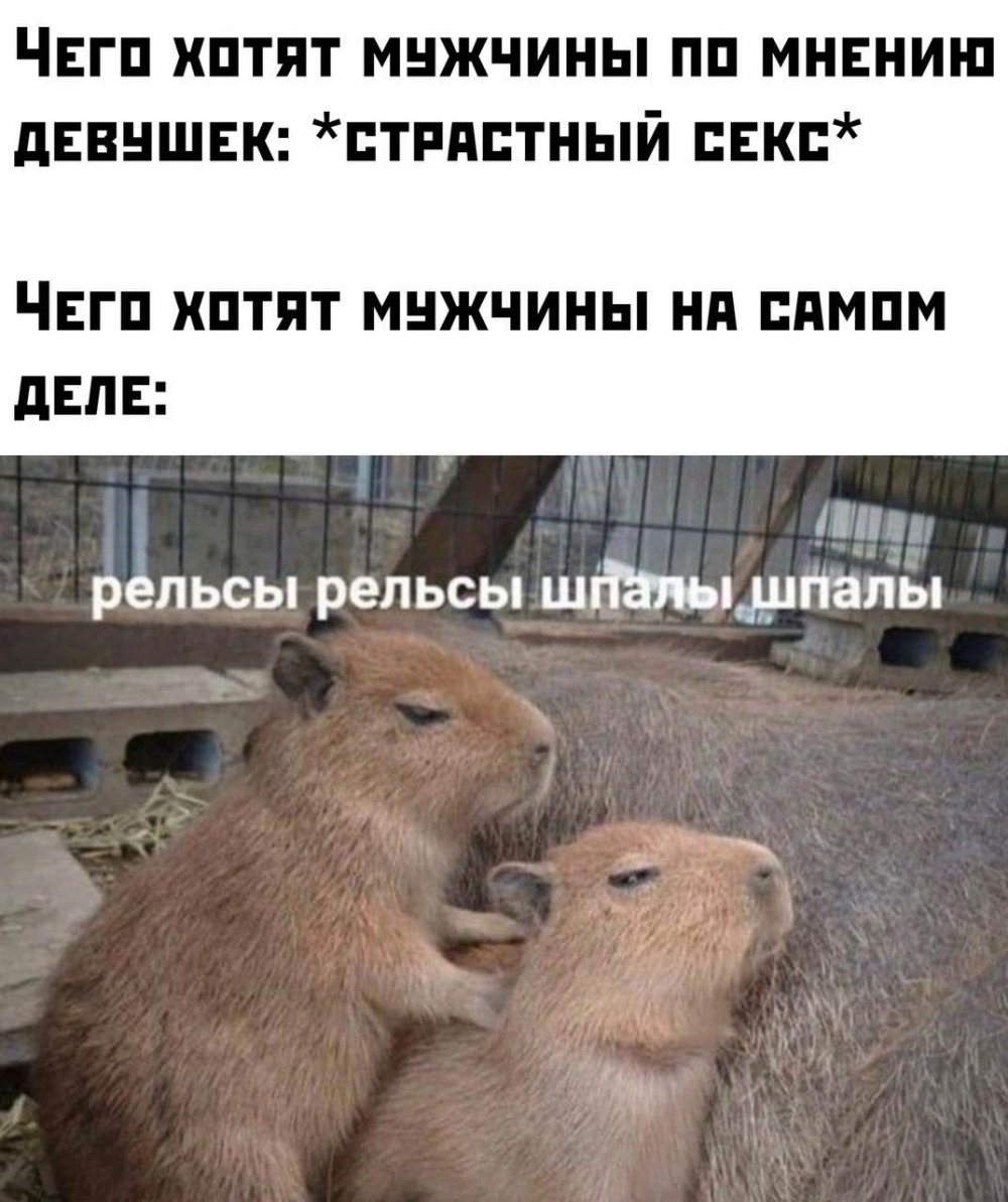 Самый свежий юмор