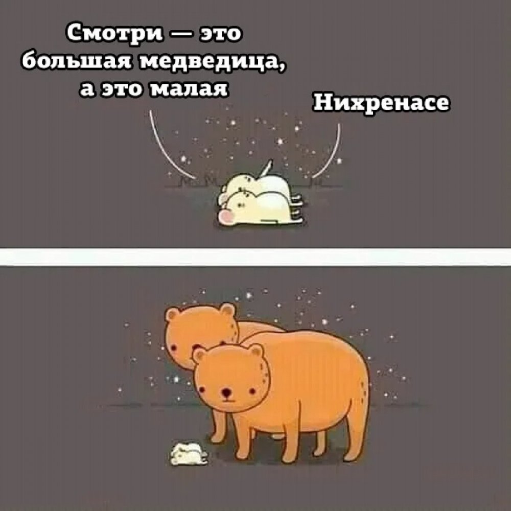 Смотри это большая Медведица а это малая нихренасе