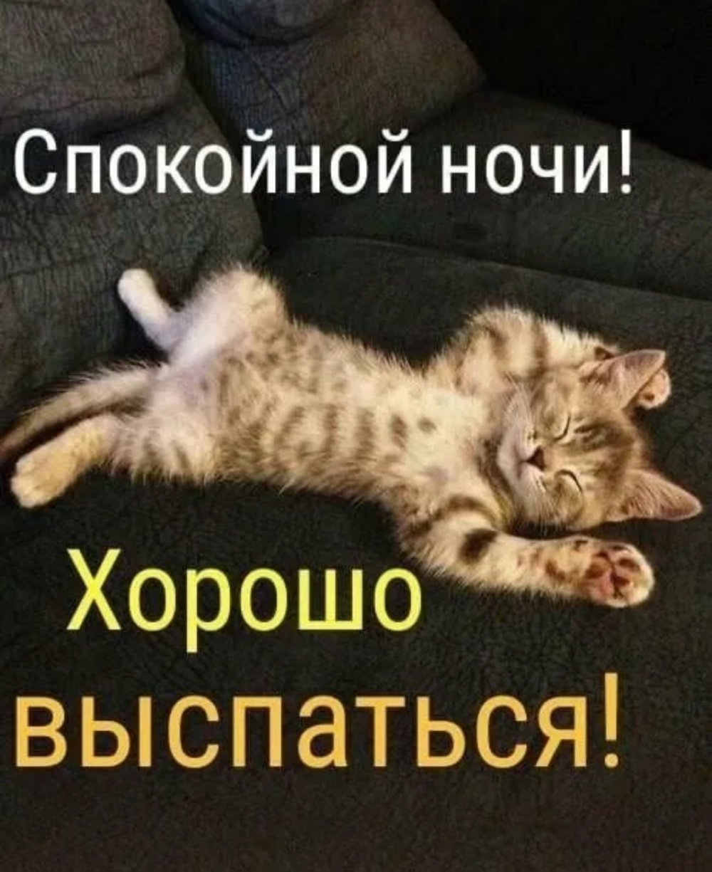 Спокойной ночи прикольные