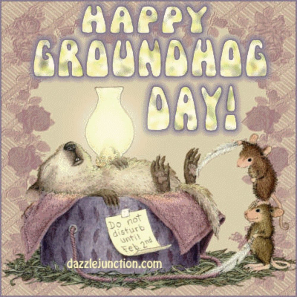 Groundhog Day pictures юмор