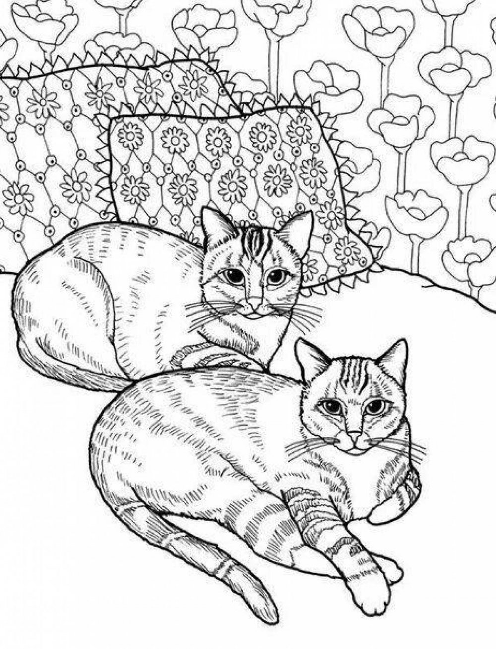 Раскраска кот и кошка