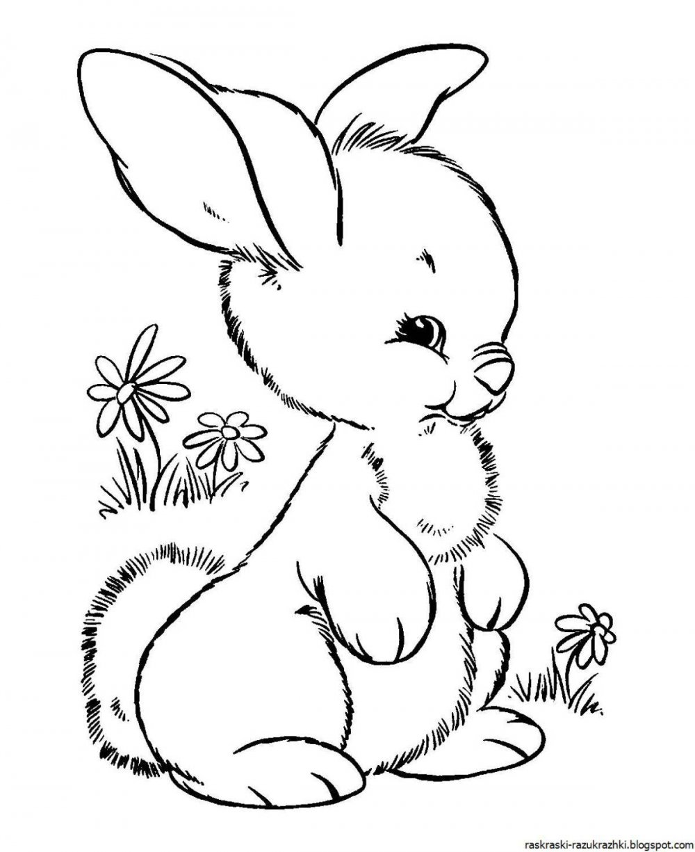 Раскраска кролик Питер 2