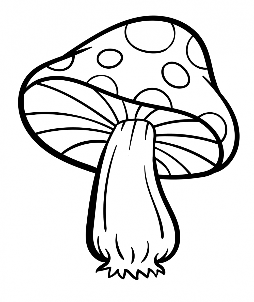 Раскраска Toadstool