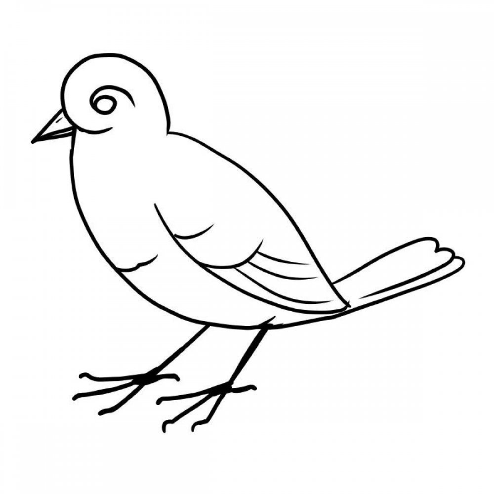 Птица с птенцами раскраска