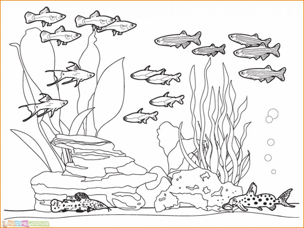 Раскраска аквариум с рыбками для детей
