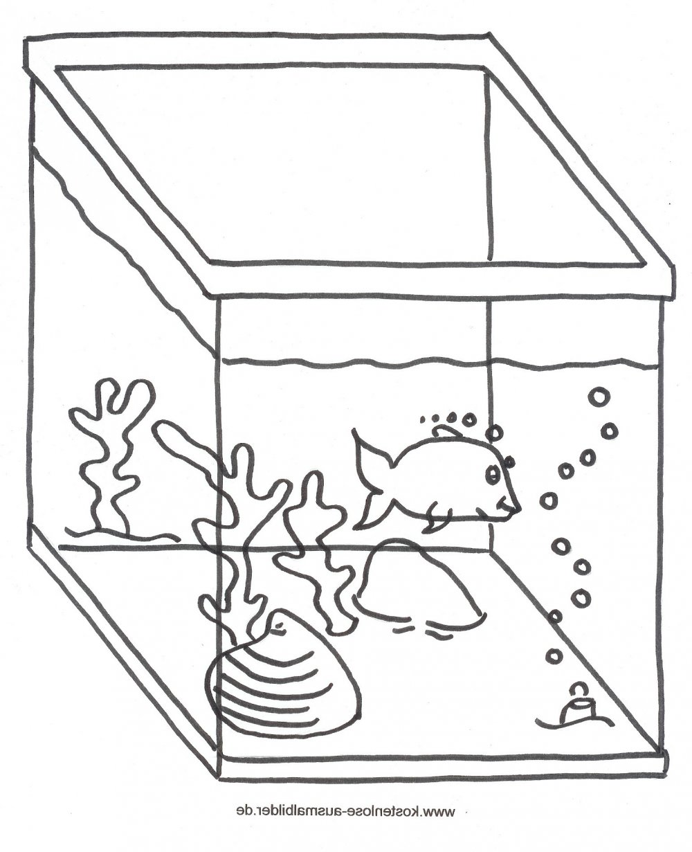 Раскраска аквариум с рыбками