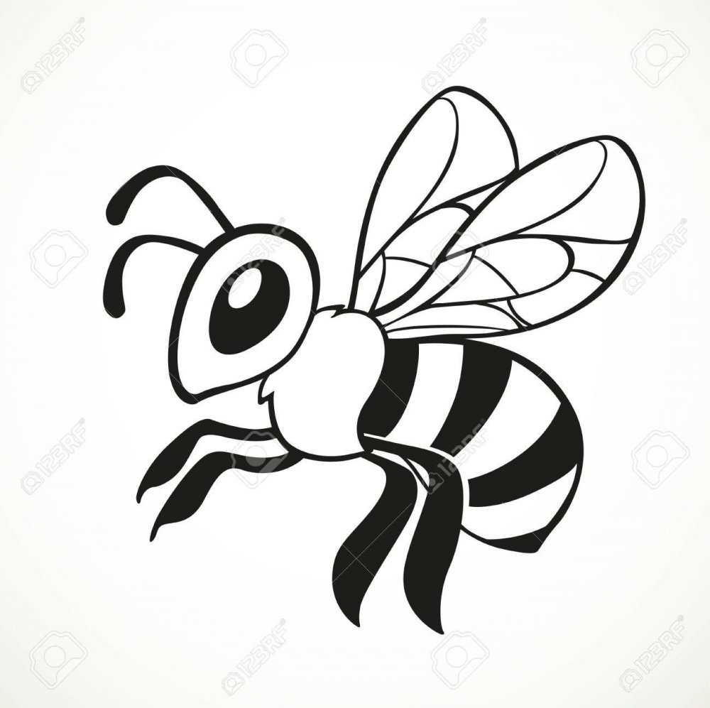 Раскраска пчела для детей 5-6 лет