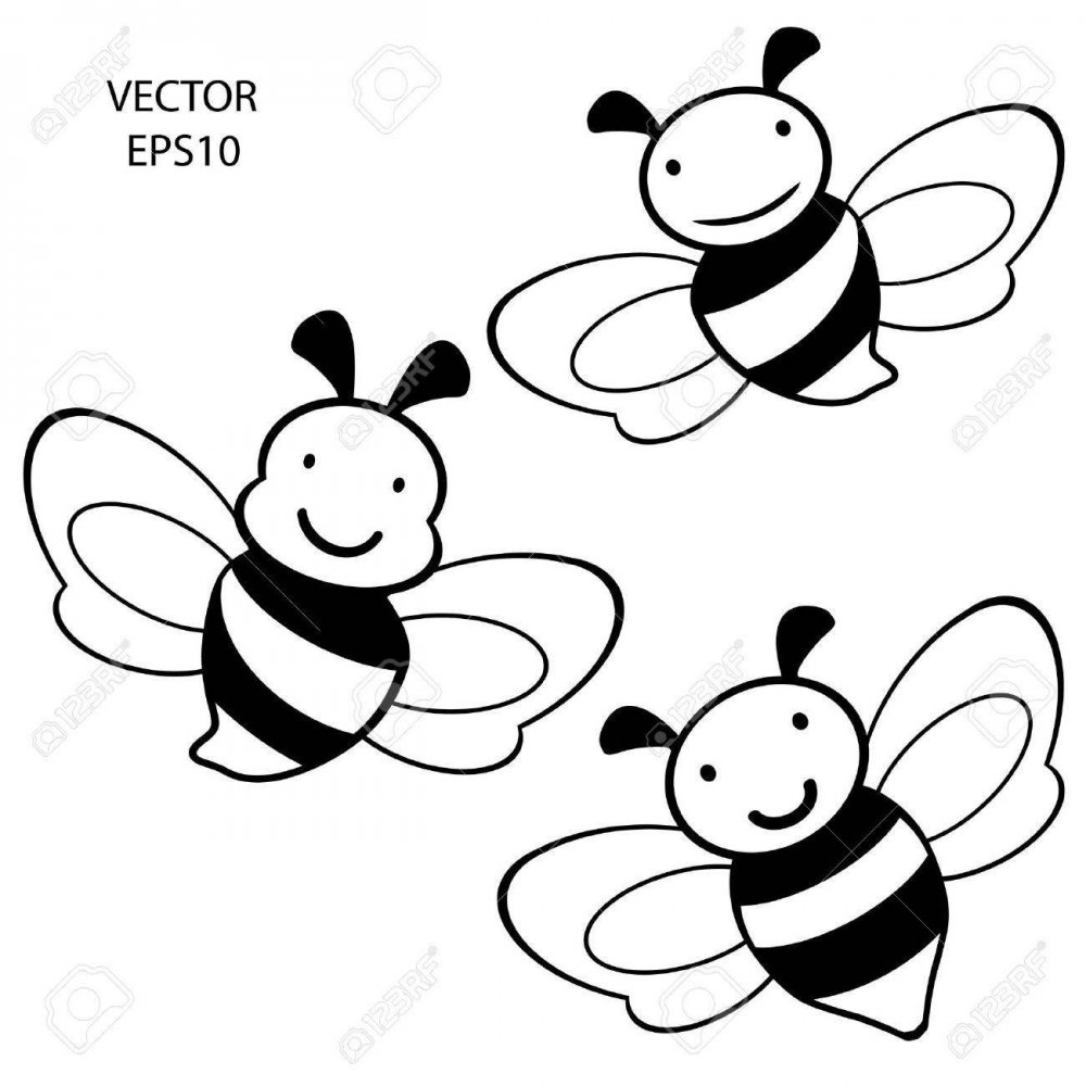 Пчела черная белая