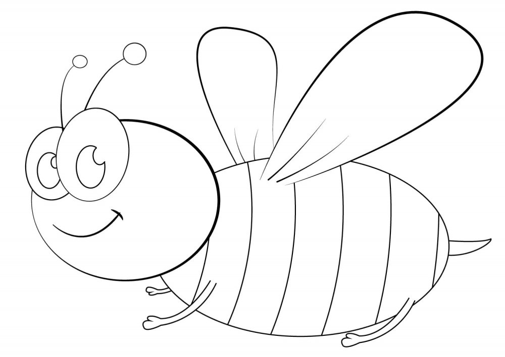 Раскраска антистресс пчела