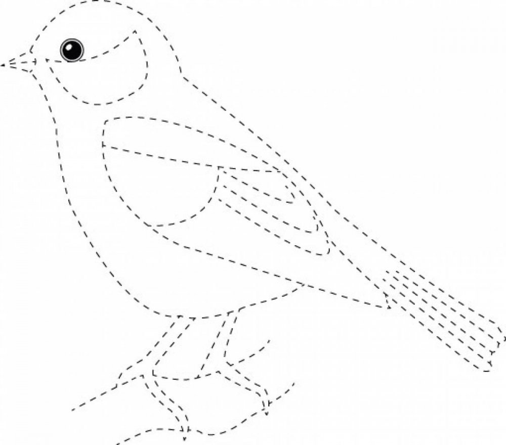 Лазоревка птица раскраска