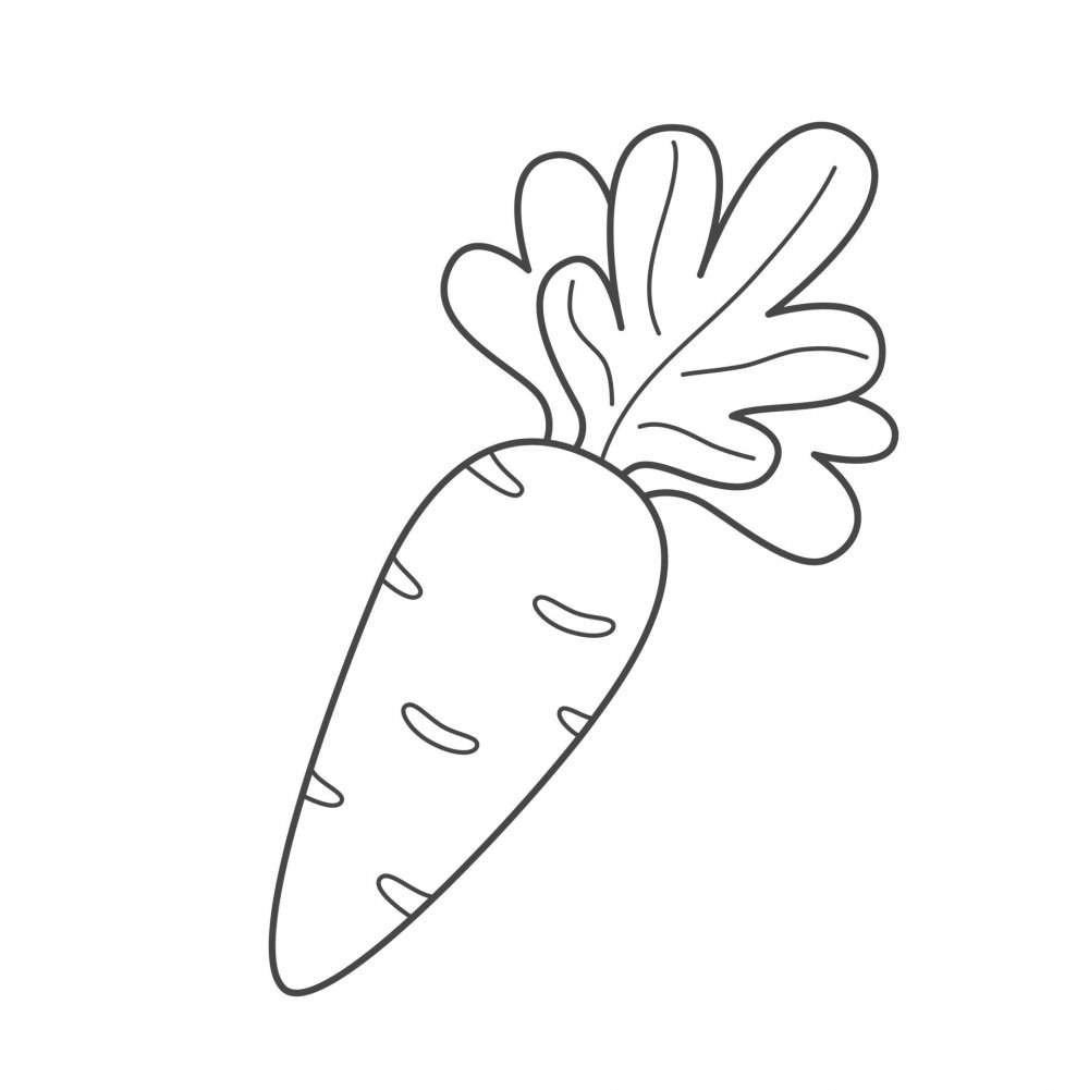 Контур морковки для детей