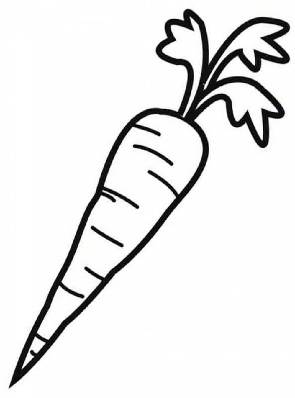 Морковь контур раскраска