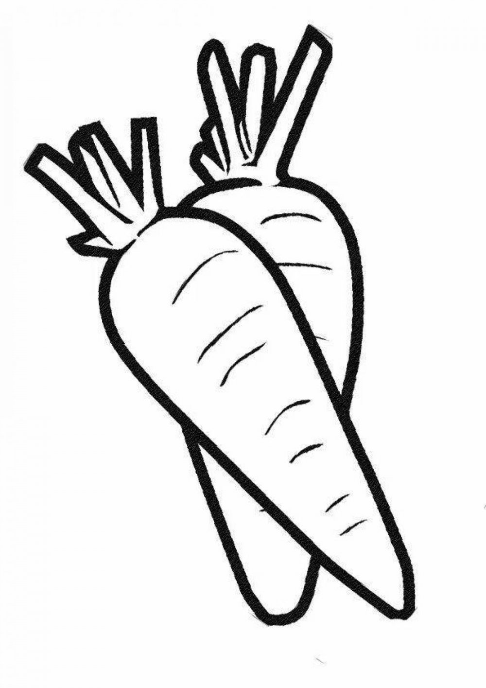 Морковь для срисовки