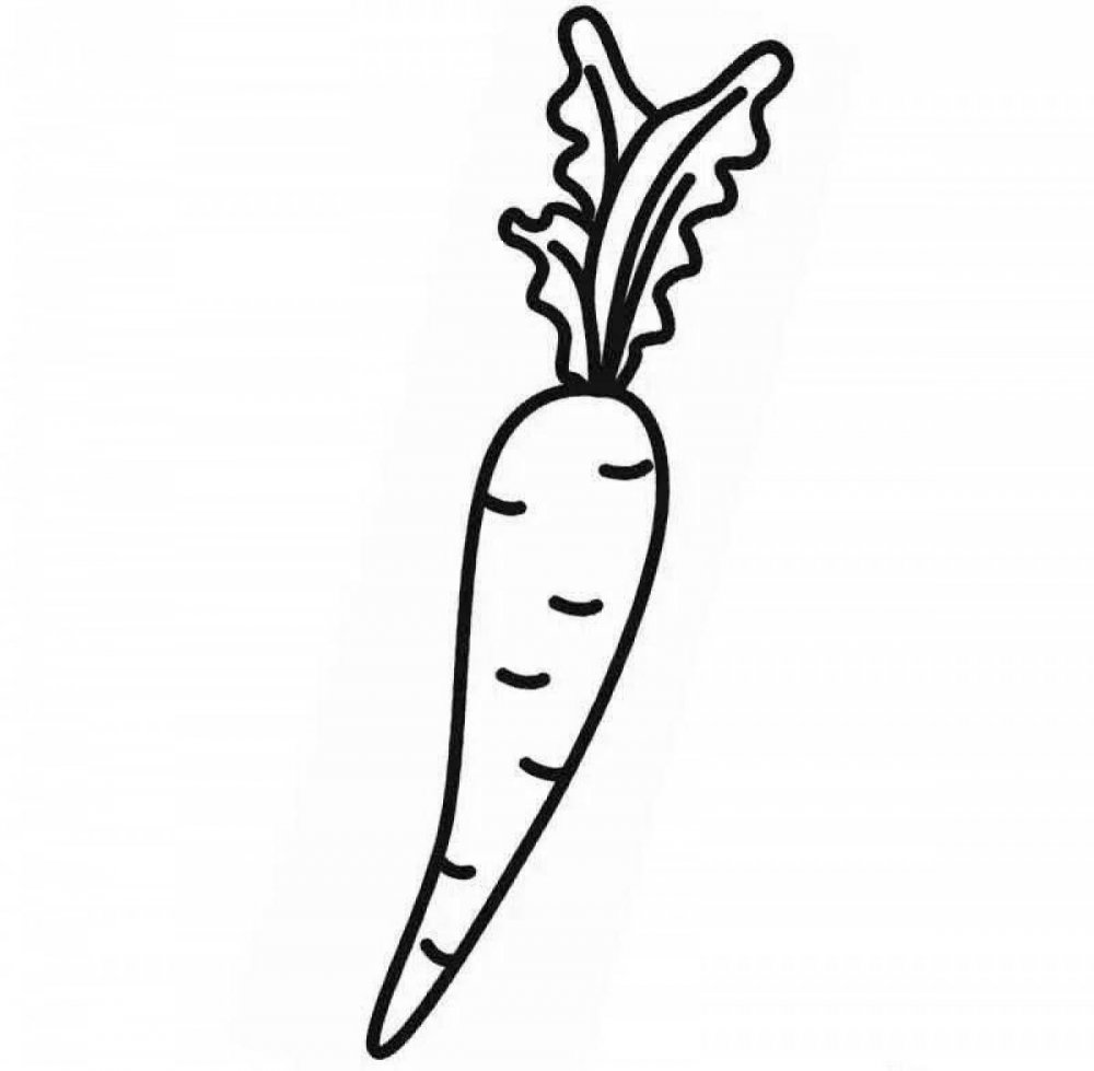 Морковь раскраска для детей